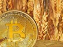 比特币看涨共识助推币价迈向16000，放量形态延续方可维持涨势