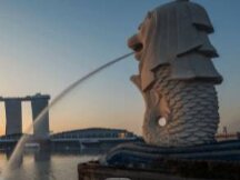 新加坡本地加密货币交易所交易量大幅飙升