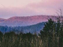加密市场，水涨船高