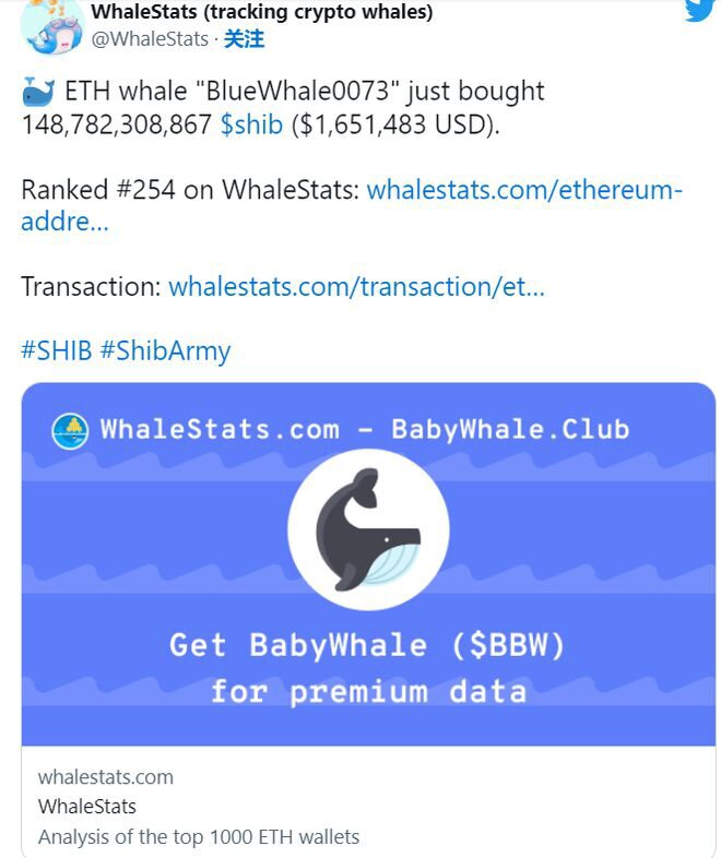 柴犬鲸鱼收集了数十亿个 SHIB 代币——这会引发 SHIB 反弹吗？