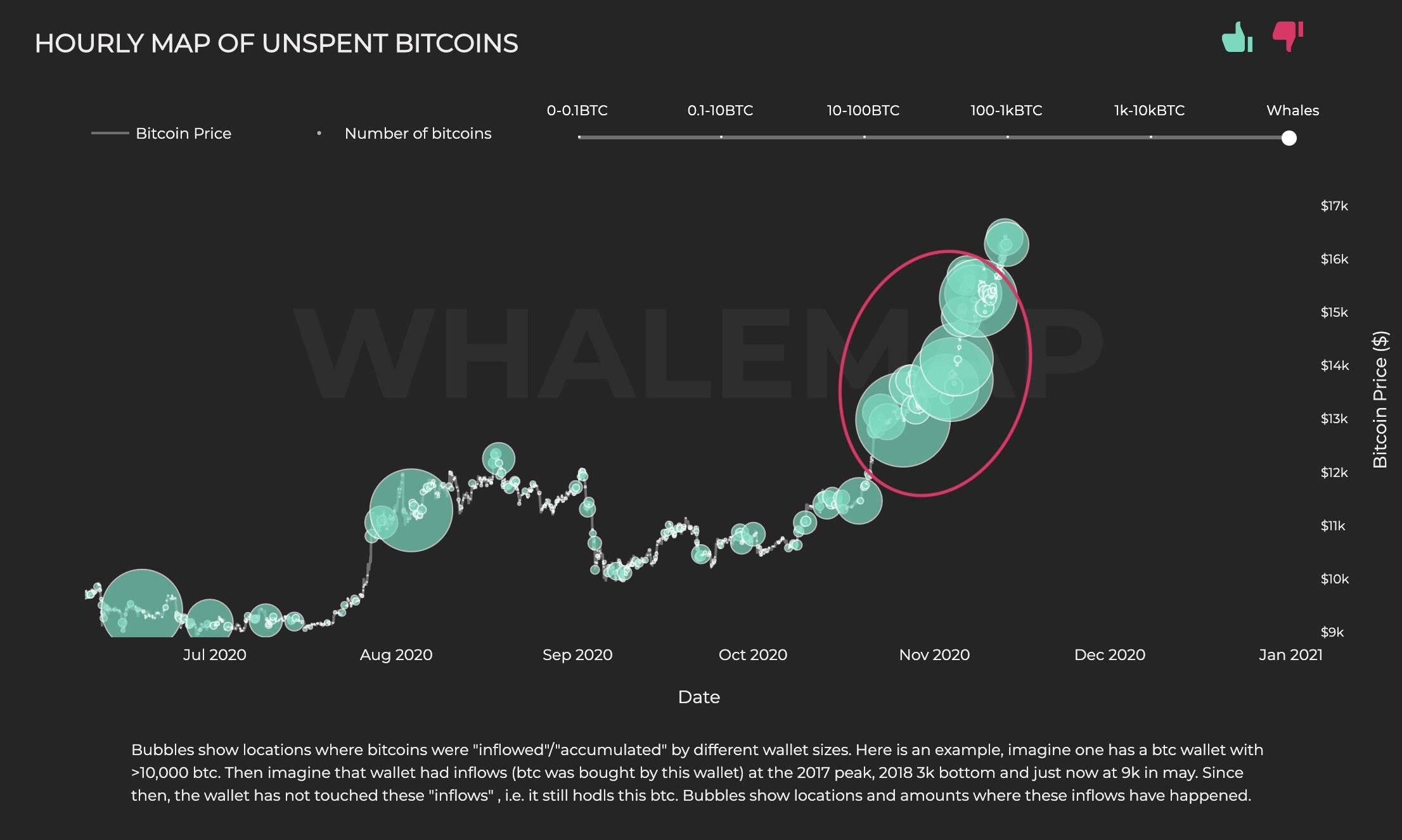 比特币鲸鱼集群显示，“机构FOMO”是本轮比特币行情上涨的背后推手