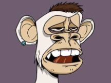 BAYC疯狂的一周：名人、巨鲸加持 头部头像项目变为「有产阶级」的世界