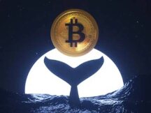 微软称比特币法规将影响其全球扩张计划