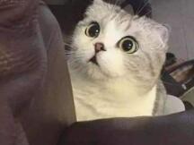 还在那嘻嘻哈哈？1个YFI就要等于3个BTC了，YFI还能走更高更远吗？