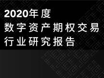 2020 年度数字资产期权交易行业研究报告