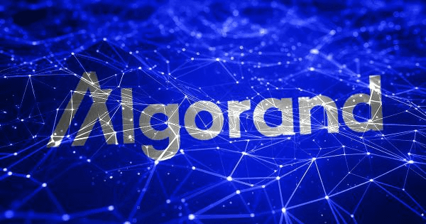 Algorand 最大的 DeFi 协议 Algofi 将关闭运营