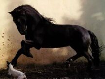 盘点时下围绕“元宇宙”迅猛发展的行业