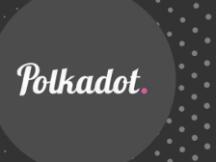 Polkadot开发者社区训练营全球招募 寻找Web3.0的先行者