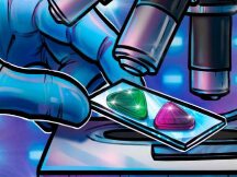 现代汽车集团与Meta Kongz合作，动视暴雪进行NFT相关调查……