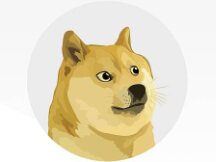 Dogecoin Foundation Announces First Dogecoin Roadmap: Focus on Payments