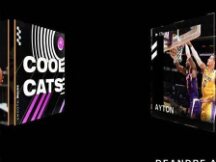 NFT越玩越野？相关骗局需注意