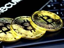 机构投资者持有的加密货币价值达到创纪录的570亿美元