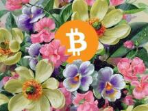 “小荷才露尖尖角，早有蜻蜓立上头”，六月会去向何方？