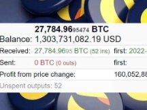 Luna基金会再增持2830枚比特币！BTC总持币量破13亿美元