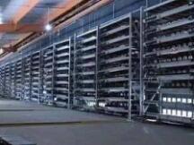 币价创新高 现在却缺电缺矿机