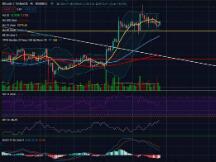 大盘趋势不明朗，BCH表现依然强势