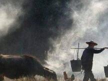 细数2020矿业上半年变局和下半年关注重点