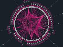 Kusama 网络将进行 5 次拍卖 每次间隔 7 天