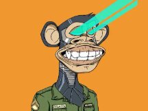 What are you going to buy by purchasing NFT?