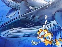 比特币鲸鱼群集，在短期内确定3个水平以保持牛市趋势完整