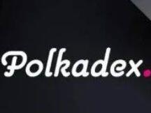 波卡DEX之星Polkadex，大幕将启上线库币进行IEO