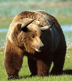 5月”牛熊“月，“牛”由“熊”生，市场情绪逐渐回暖