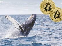 进军加密货币业务！富途和老虎证券申请海外牌照