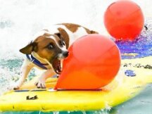 2022年迄今为止，加密货币抛售已使整体市值缩水7000亿美元