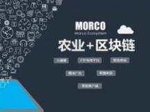 新一轮乡村振兴再出发，区块链如何发力？