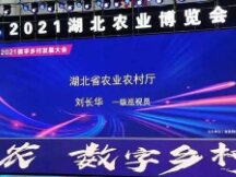 湖北省打造全球第一个元宇宙“灵境”乡村