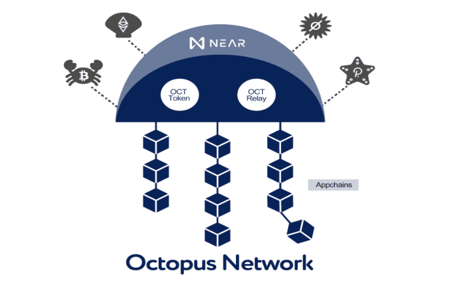 NEAR生态项目Octopus Network完成300万美元种子轮融资