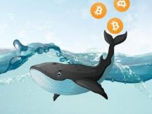 真实数据显示比特币新高之前“巨鲸”已开始倾销，抛售超93000枚BTC