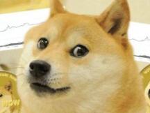 “反水”比特币后马斯克发推特为狗狗币“站台” ，狗狗币一度大涨逾20%