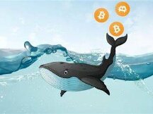 DappRadar报告：DeFi鲸鱼行为分析