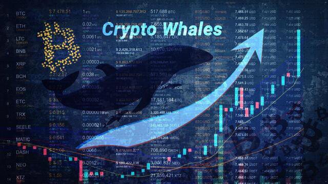 鲸鱼在过去两周内增持了超过 9.29 亿美元的比特币