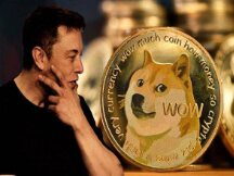 Elon Musk 的推特取消了对十几个狗狗币（DOGE）推特账户的禁令