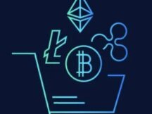 熊市来了？我们用融资数据说话，红杉资本6亿美元入场！