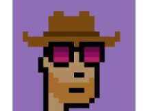 解析NFT平台特性与其排名状态