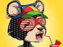 元宇宙项目(Bored Floki Yacht Club)的代币突然十倍涨幅