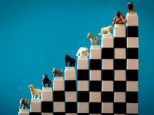 从总锁定价值（TVL）看以太坊、BSC、Polygon等DeFi生态“大乱斗”