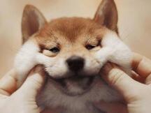 以太坊联合创始人Vitalik向慈善机构捐赠了价值7亿美元的加密货币