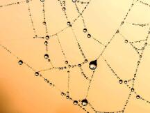 开发者再次证实，ETH2.0有望于11月推出