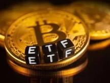 新政府新气象？Valkyrie向SEC提交比特币ETF申请