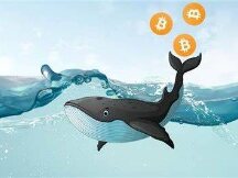 DappRadar报告：DeFi巨鲸用户在以太坊、BSC链上活动轨迹分析