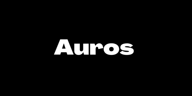 加密做市商Auros启动破产保护 2000万美元资金冻结在FTX