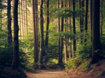 走出DeFi的魔幻丛林