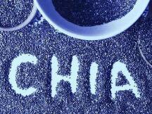 错失恐惧症：对Chia挖矿的观察