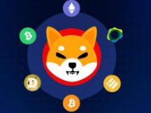 US e-commerce giant Newegg accepts SHIB payments! Robinhood is rumored to have placed Shiba Inu coins in the first quarter.