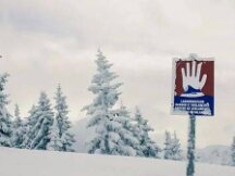 雪崩才是元宇宙的必然