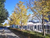 资产跨链随着 DeFi 的发展逐步打开隐藏属性，真正的跨链还没有成型